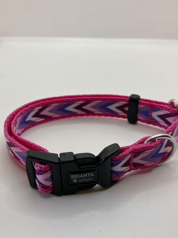 Puppy Collar