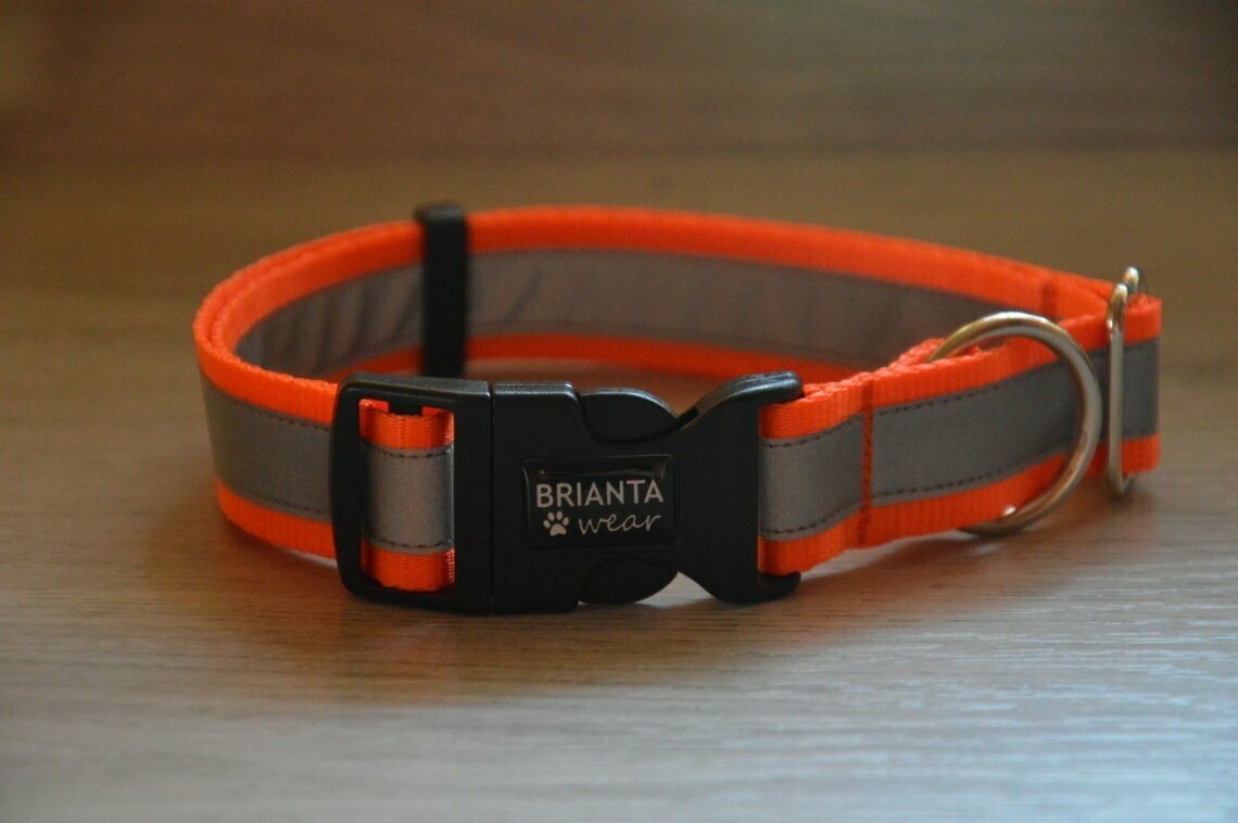 Reflex Basic Collar