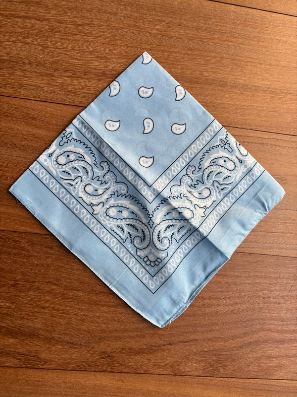 Sjaaltje Paisley lichtblauw