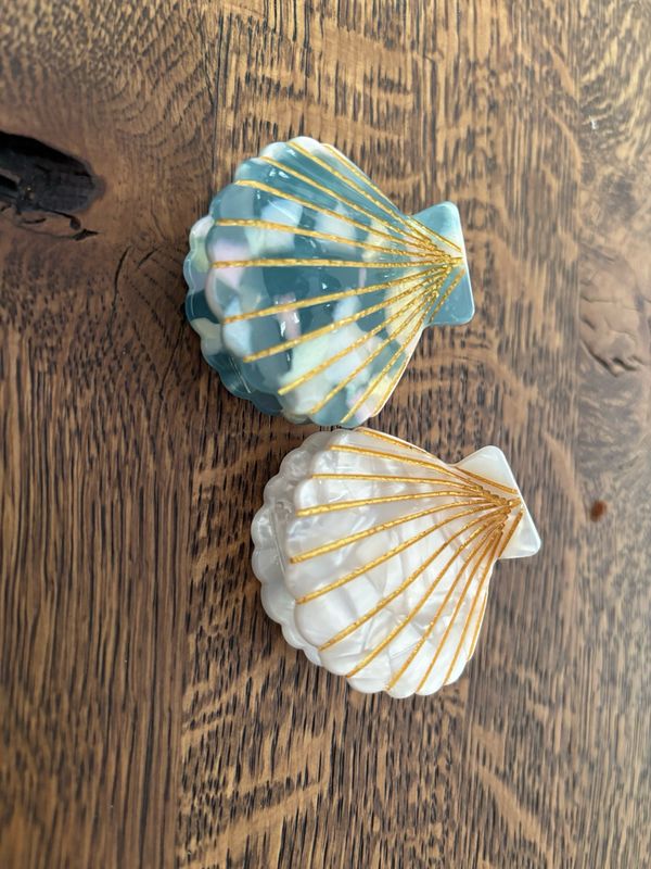 Haarklem schelp neutraal