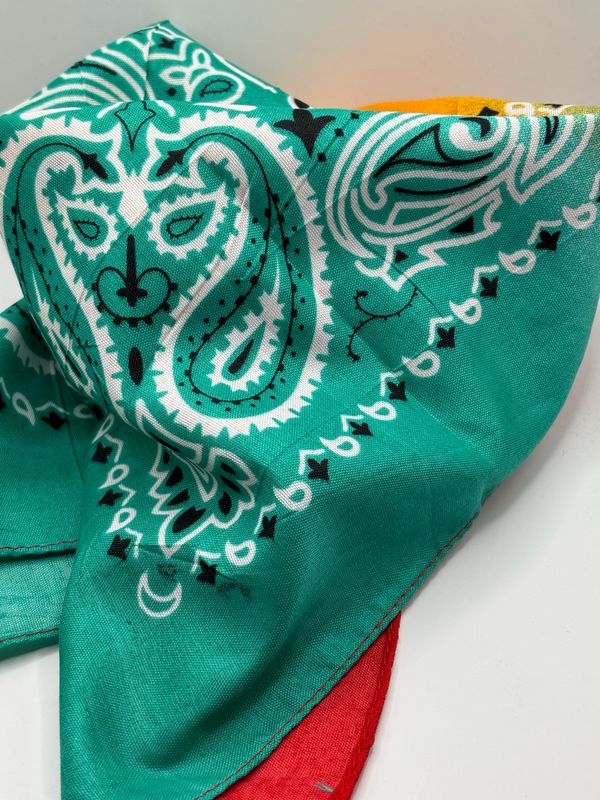 Sjaaltje Paisley ?more colors