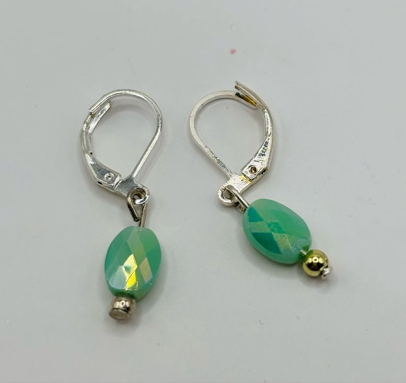 Oorbellen zilver turkoois steen