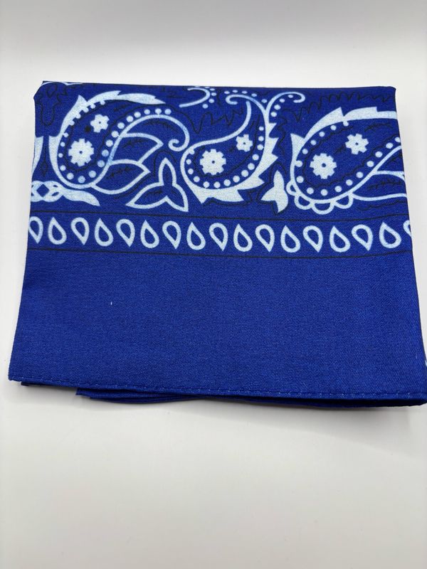 Sjaaltje Paisley blauw