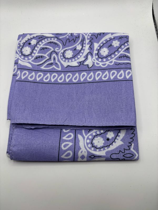 Sjaaltje Paisley paars