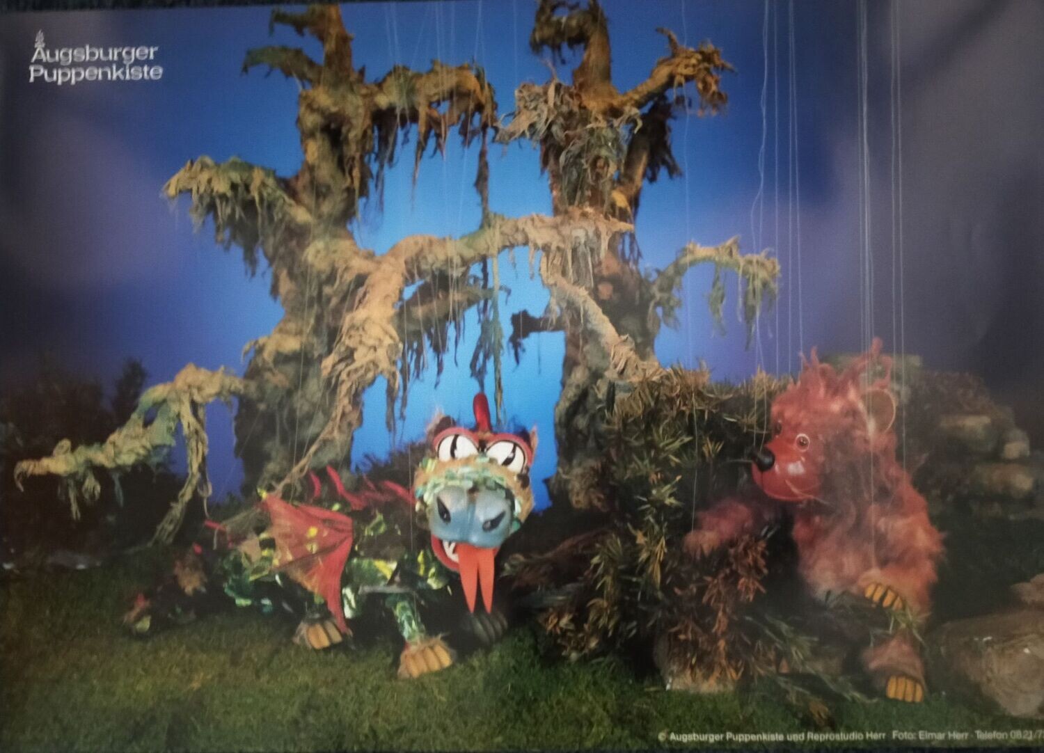 Drache Fidibus Poster