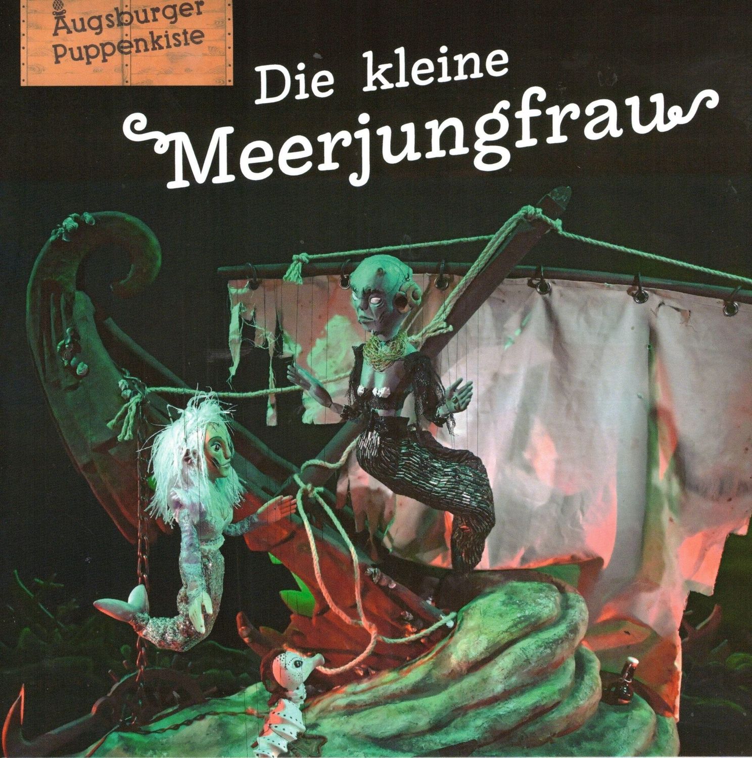 Die kleine Meerjungfrau Buch