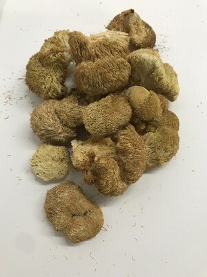 Lions Mane Mushrooms  ~1.4 oz (dried)