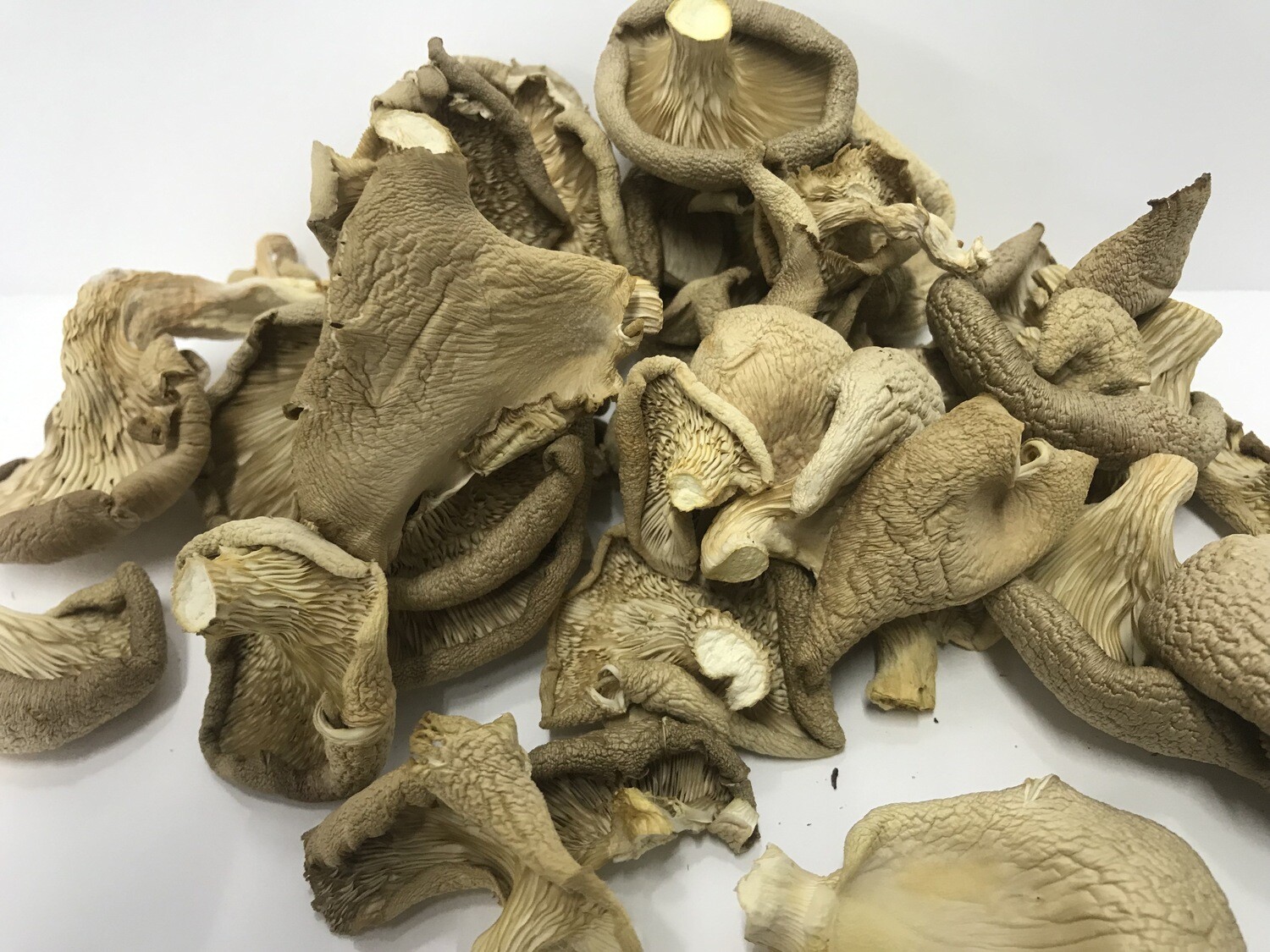 Oyster Mushrooms 2oz (dried vacuum sealed)
