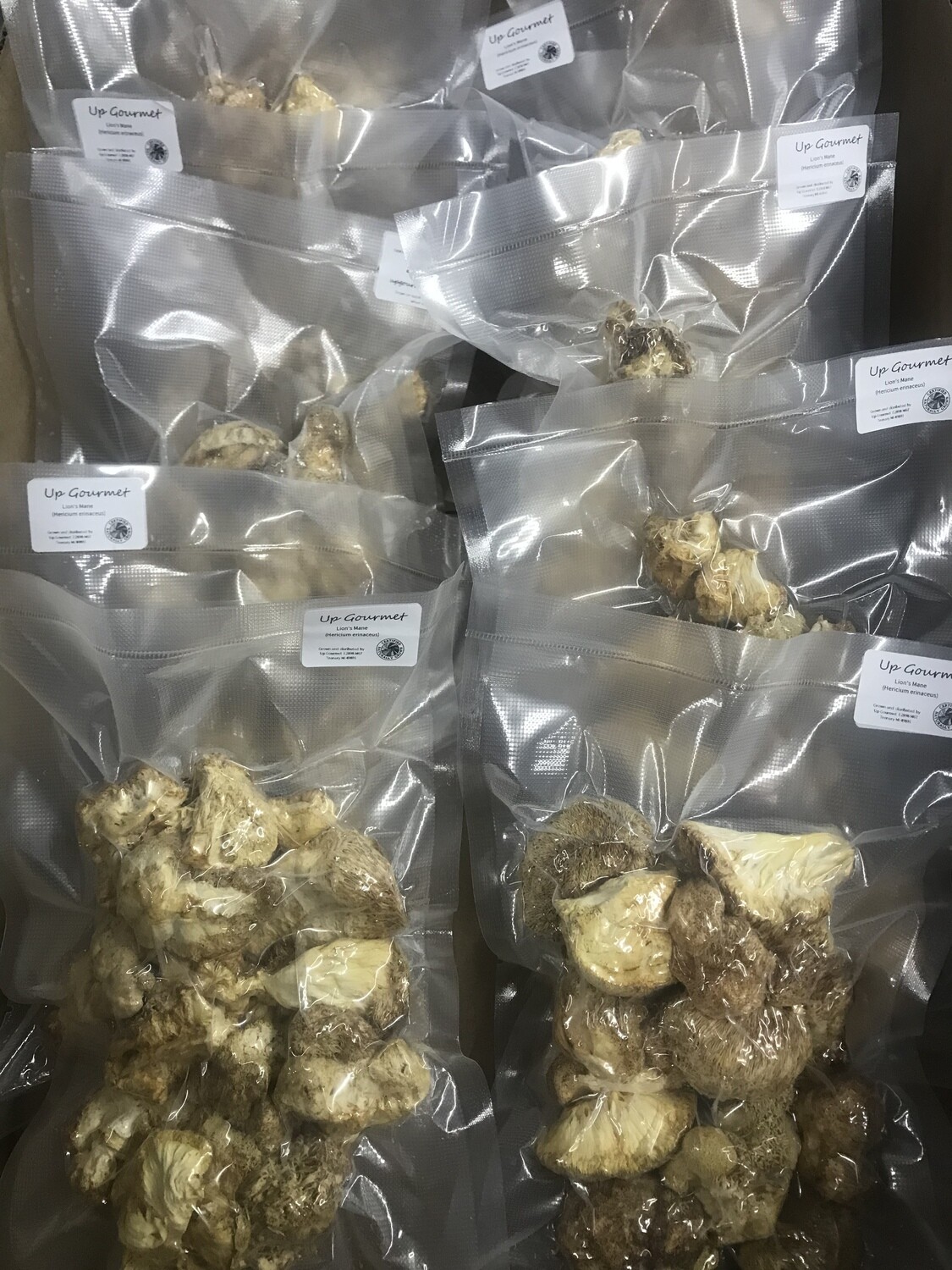 Lions Mane Mushrooms 2.2 oz (dried b grade vac)