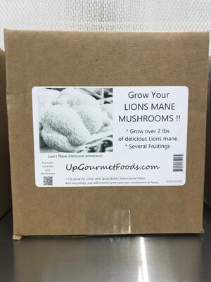 Lions Mane Mushroom ~7 lb (grow kits)
