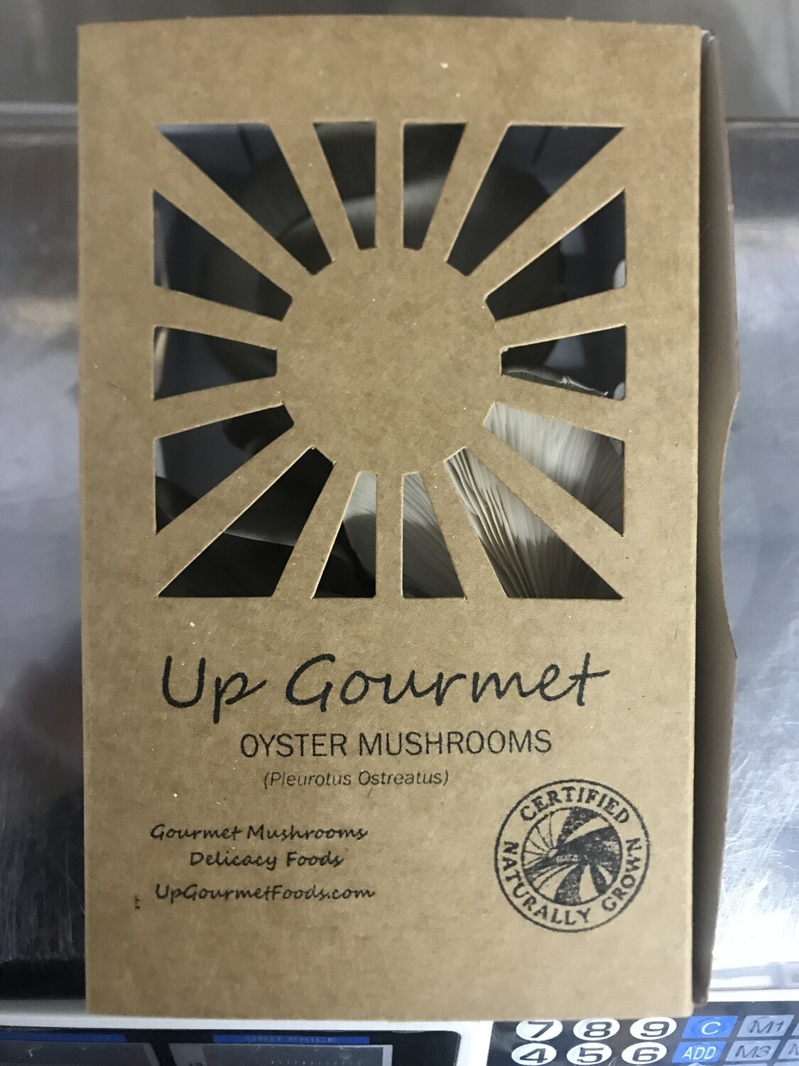 Grey/Blue Oyster Mushrooms ~1/4 lb (fresh)