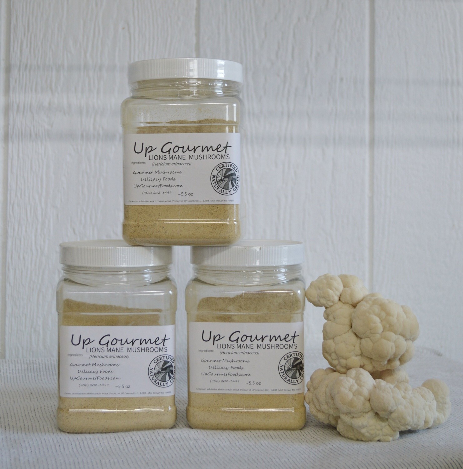 Lions Mane (bulk powder)  ~5.5 oz (6 month Subscription one every month)