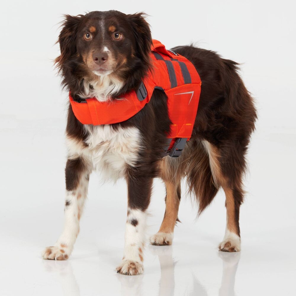 NRS Canine Flotation Device