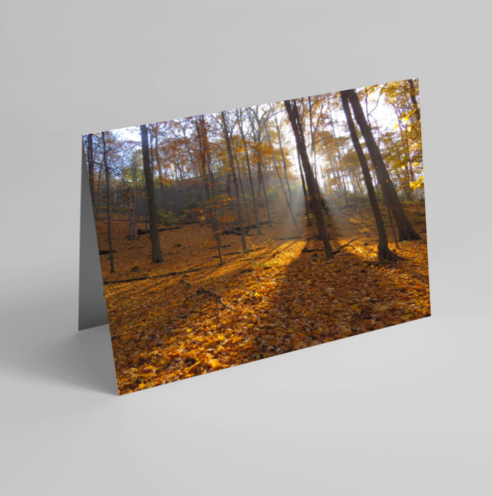 Set of 6 Folded Note Cards - Landscapes No. 1