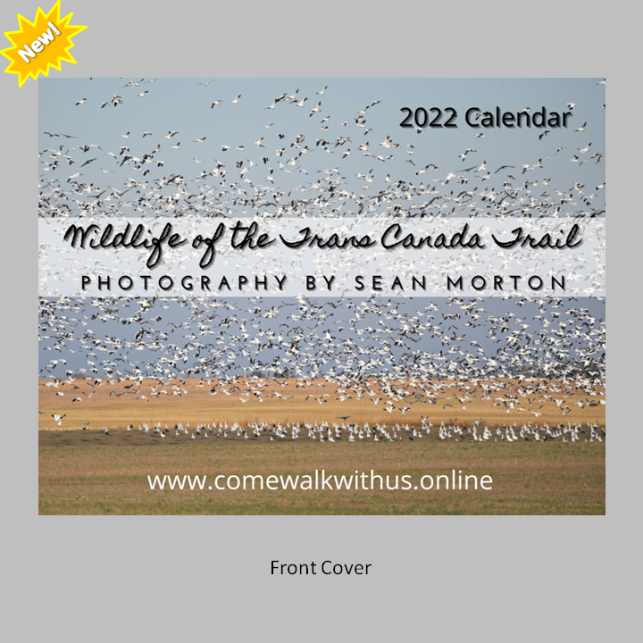 2022 Wall Calendar - Wildlife of the Trans Canada Trail