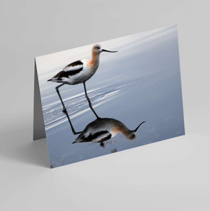 Set of 6 Folded Note Cards - Birds No. 3