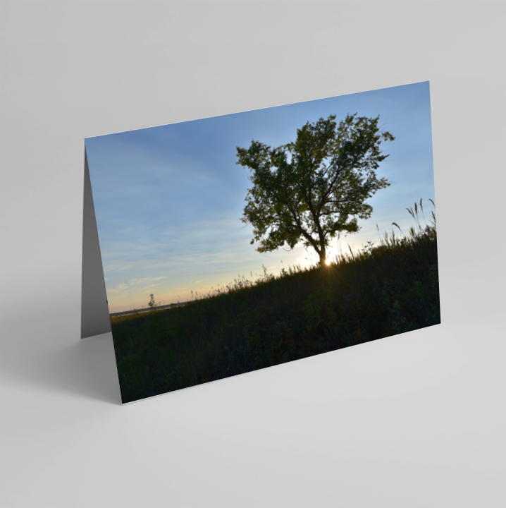 Set of 6 Folded Note Cards - Landscapes No. 3
