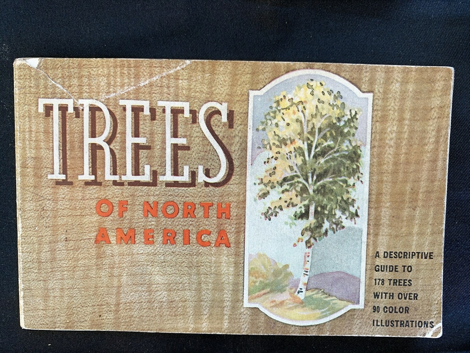 Trees of North America 1934 - books