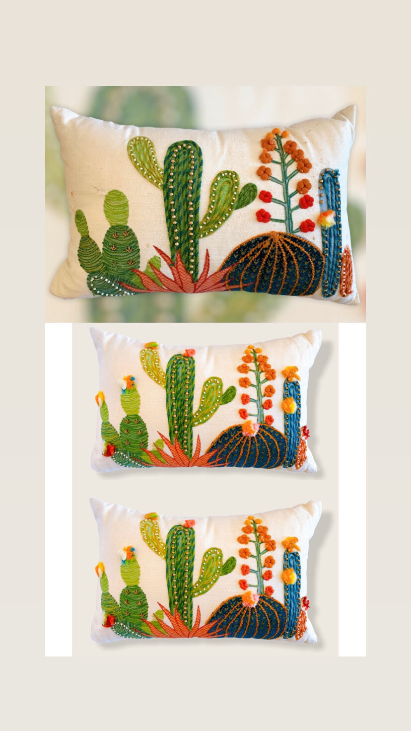 Outdoor Cactus Pillows Pier 1
