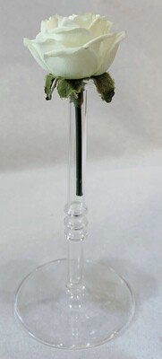 Thin Glass Single Flower Vase 