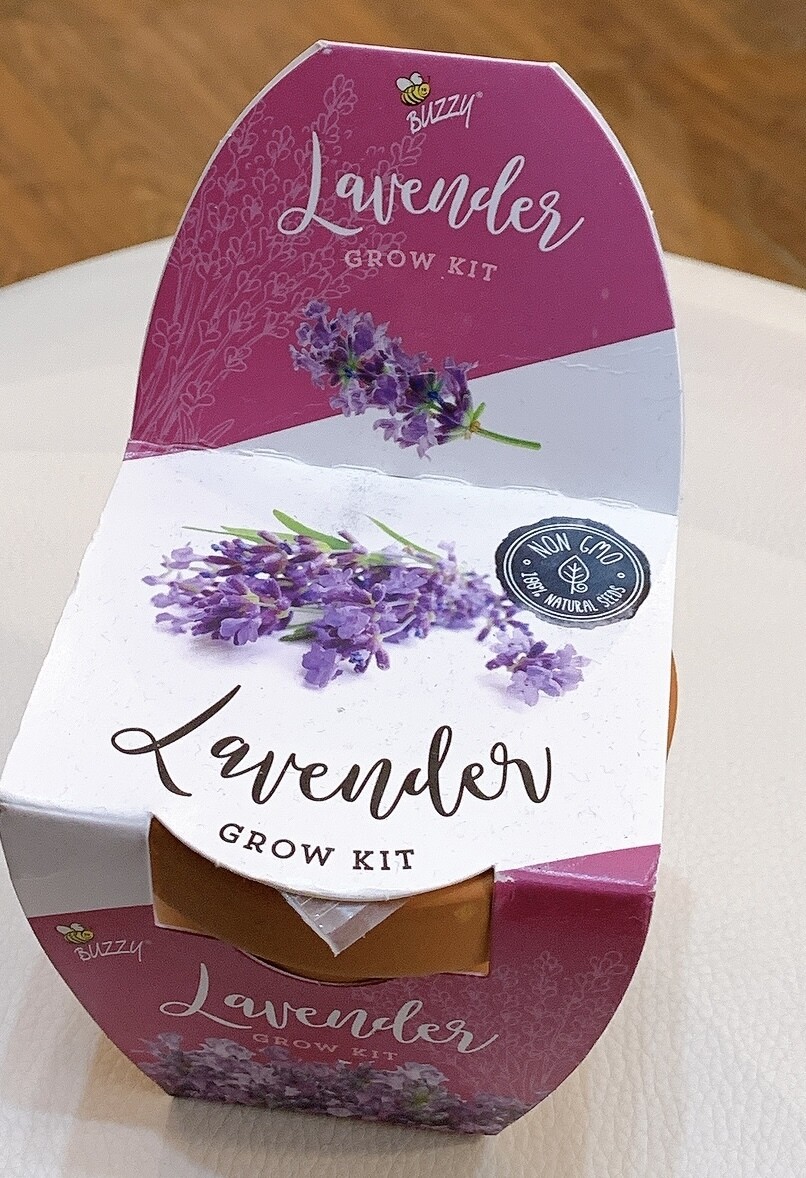 Lavender Grow Kit