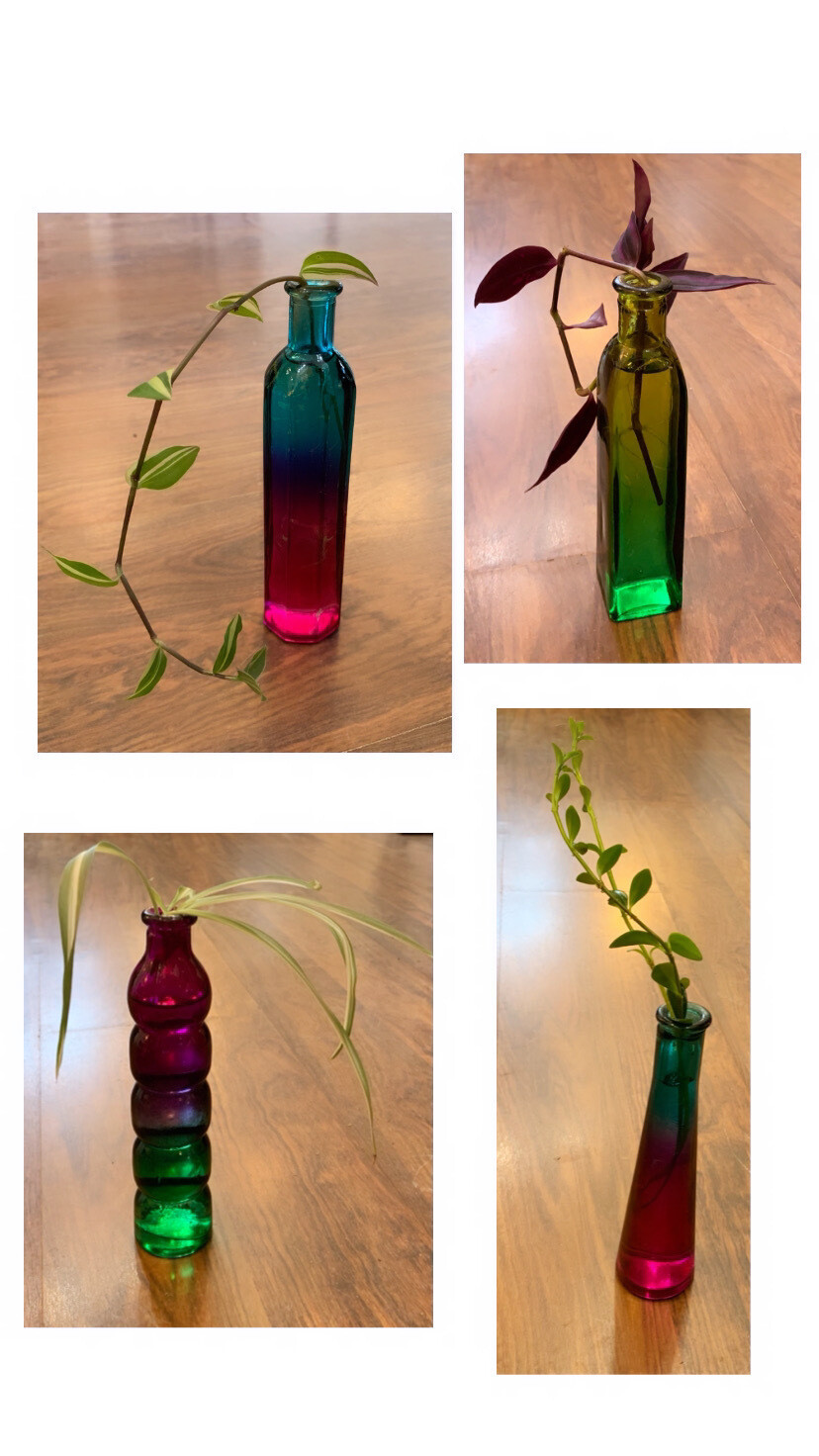 Propagation Colored Vases
