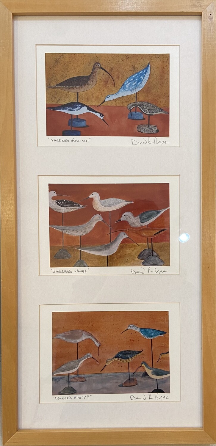 Shorebird Print Triptych 10”x21” by David R. Rojas