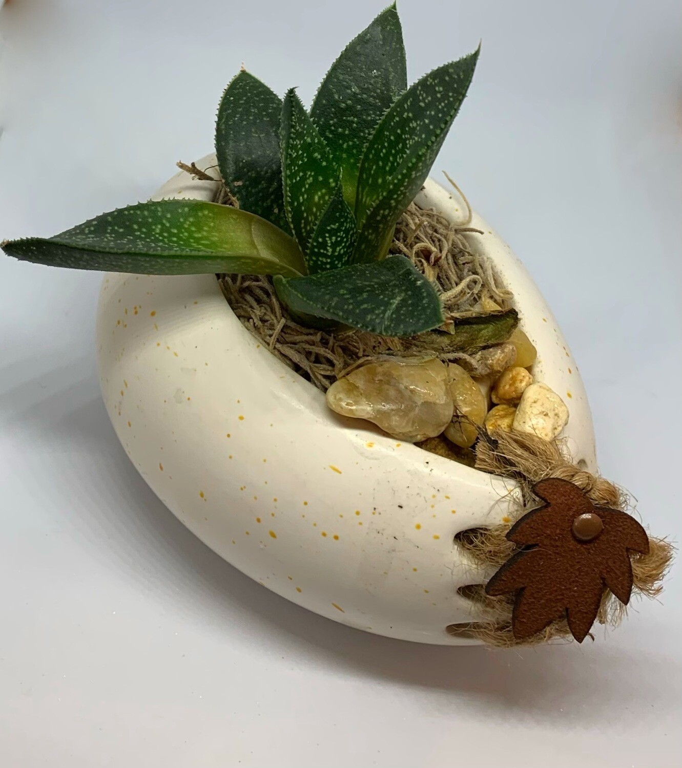 White Ceramic Succulent