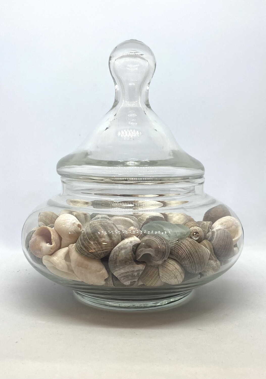 Apothecary Jar with Sea Shells