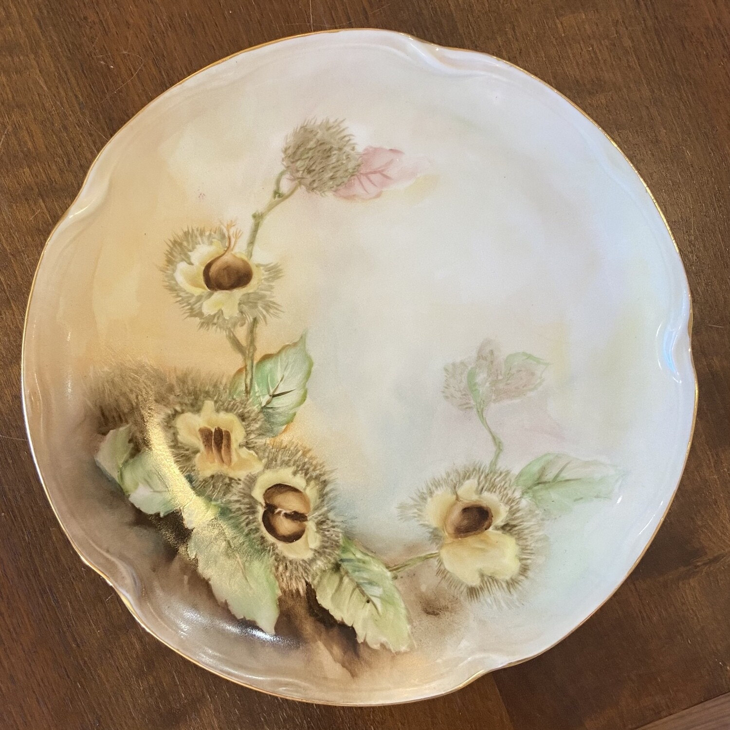 J &amp; C Bavaria Hand-Painted Floral Plate