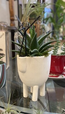 Minimalist Reindeer Pot and Succulent