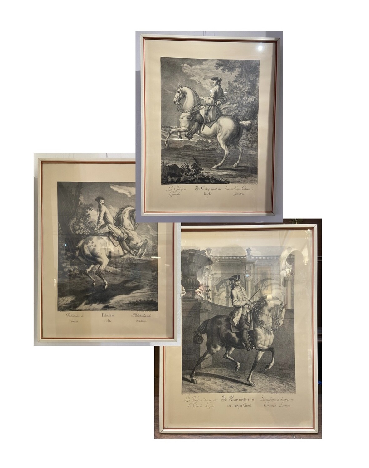 Johann Elias Ridinger Prints