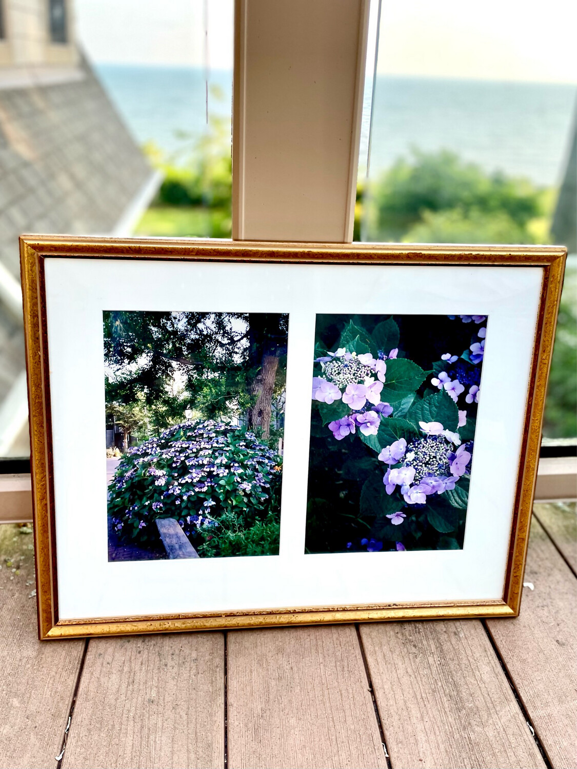 Hydrangeas Framed Art 17 3/4” x 22”