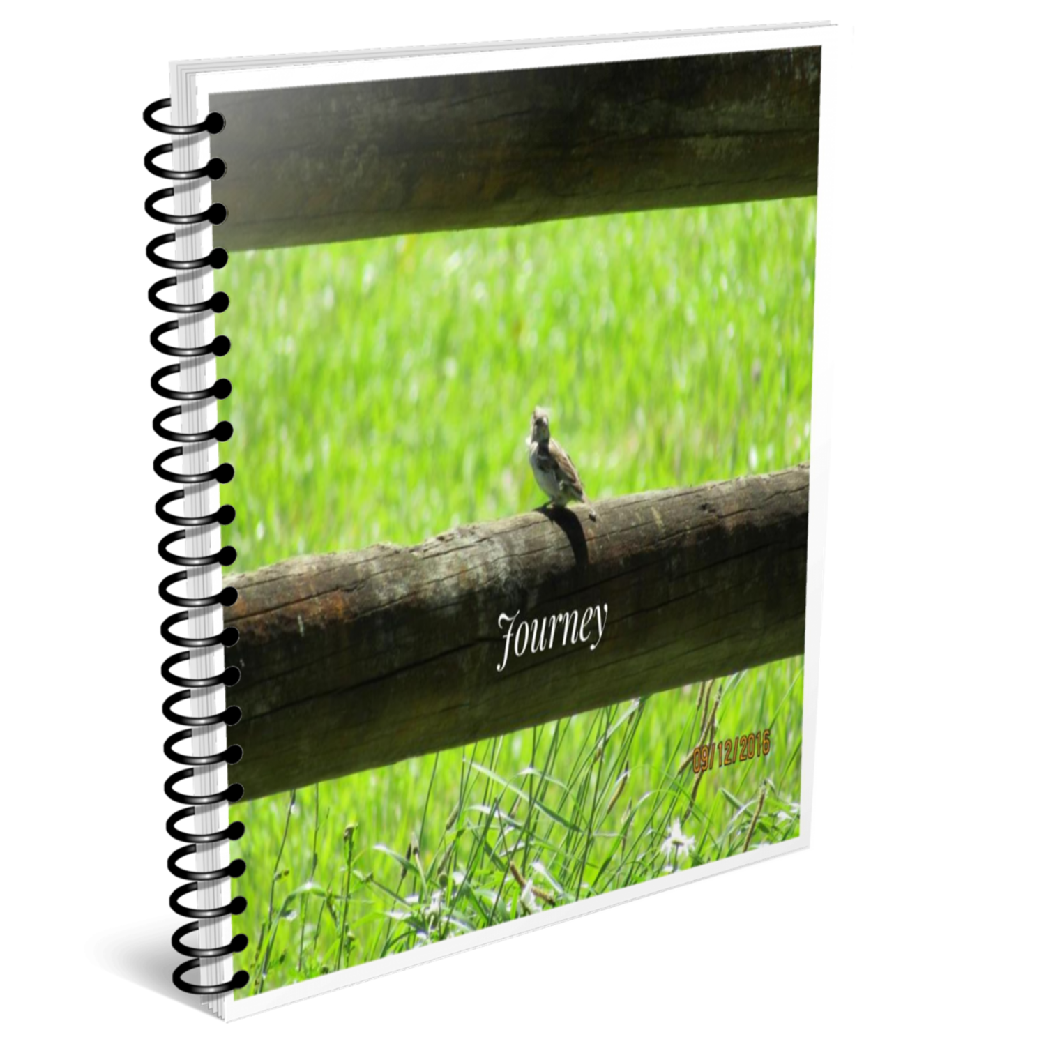 Journey - print version of the allegory