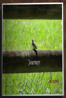 Journey - pdf version of the allegory
