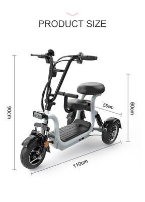 2023 Lithium Powered E-trike