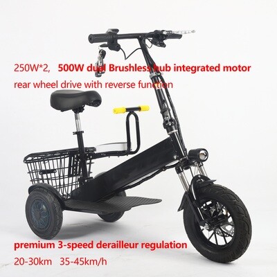 2023 Lithium Light Trike