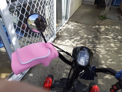 Handlebar/Throttle Protectors