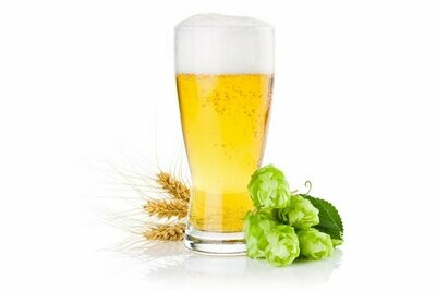 Bier