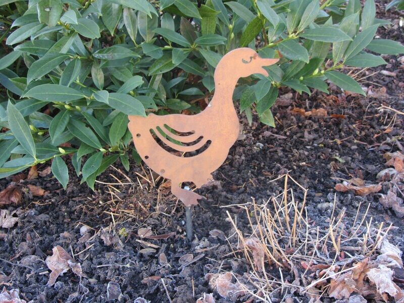 Ente klein