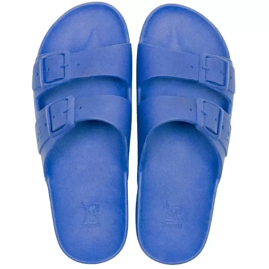 Cacatoes rio de janeiro royal blue