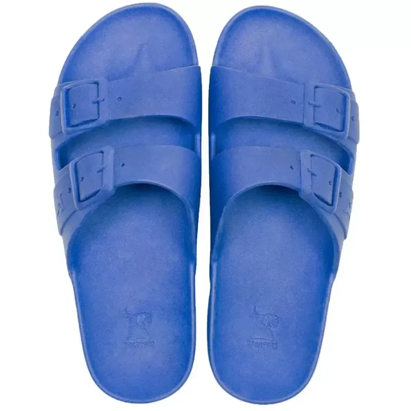 Cacatoes rio de janeiro royal blue