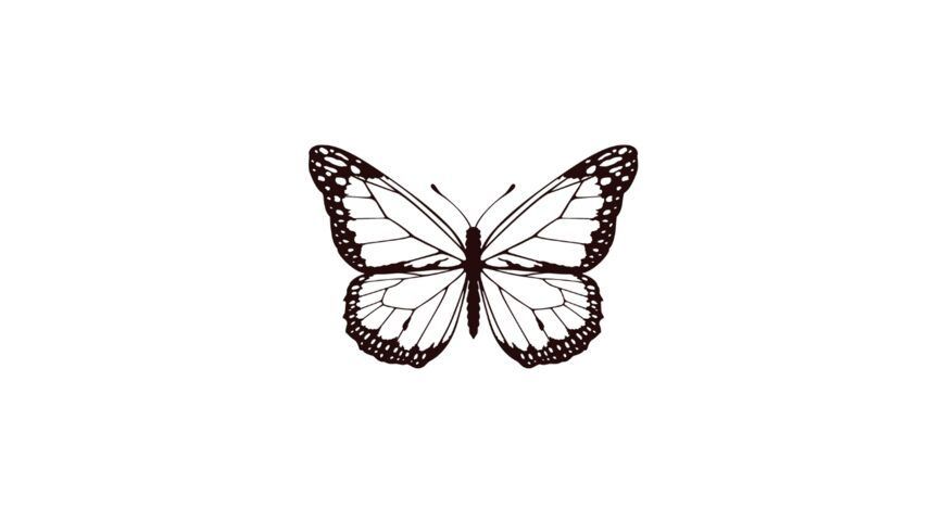 Tatoo x5 ( choisir son modèle )
