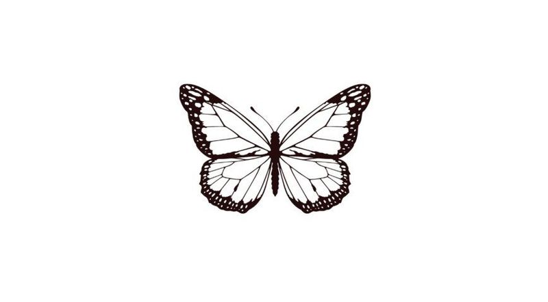 Tatoo x5 ( choisir son modèle ) Tatoo x5 ( choisir son modèle )