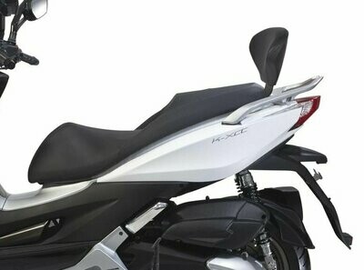 SHAD Montagesatz f. Rückenlehne Halter Beifahrerlehne Kymco K-XCT 125 i / 300 ABS ( 13-17 ) SHAD Montagesatz f. Rückenlehne Halter Beifahrerlehne Kymco K-XCT 125 i / 300 ABS ( 13-17 )