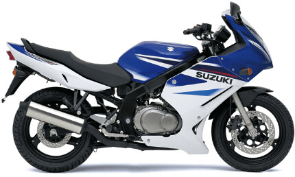 Suzuki GS 500/F  (01-11) SHAD Topcaseträger