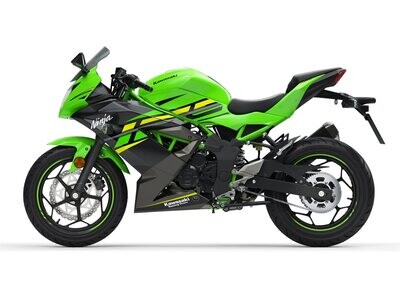 Kawasaki Ninja 125/Performance