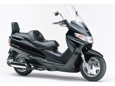 Suzuki AN 250 Burgmann
