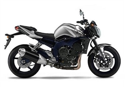 Yamaha FZ1 /N