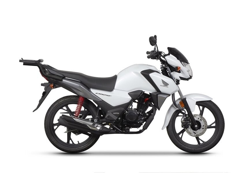 SHAD Topcaseträger / TopMaster Honda CB 125F (21-) 